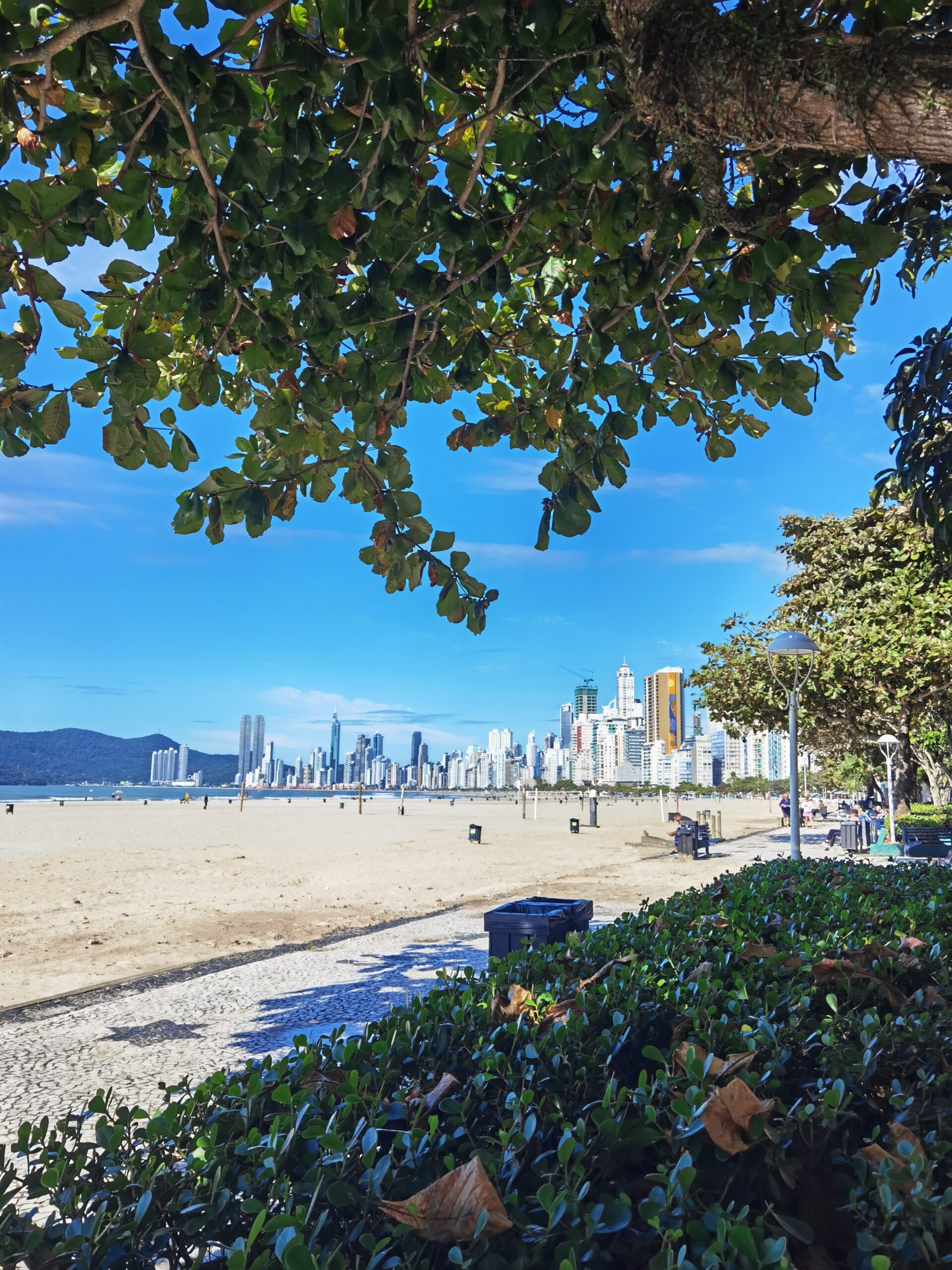 Living in BC: pros and cons