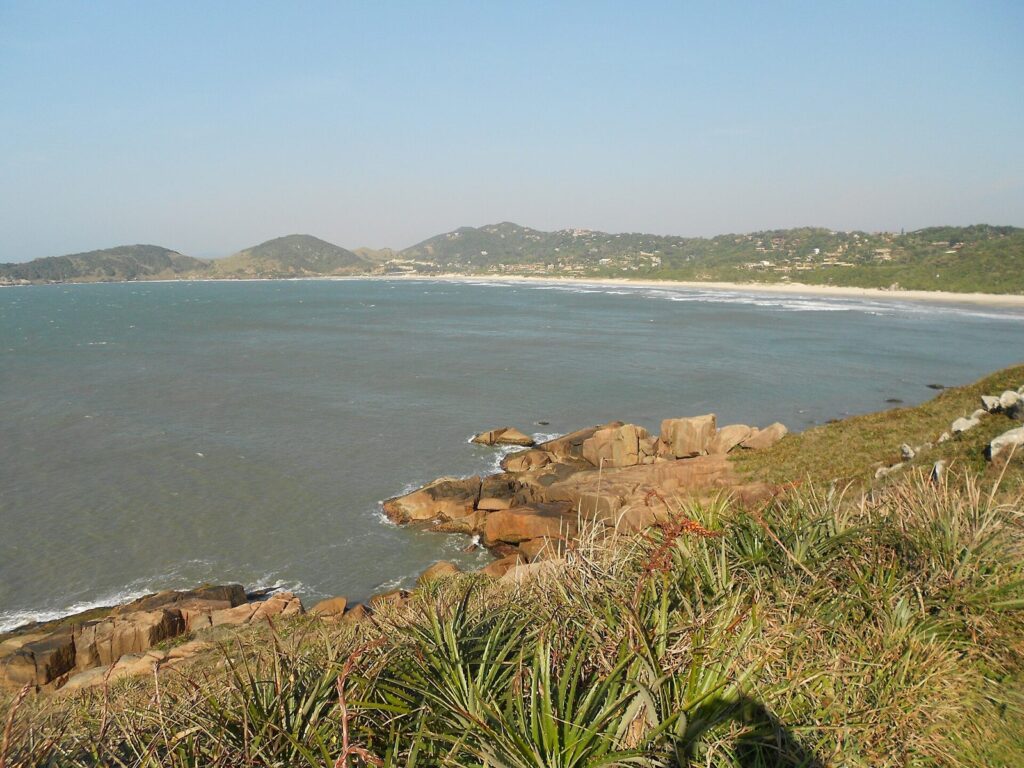 The bay of Praia do Rosa seen from the coastal trail from Praia Vermelha, with rocks and grass in the foreground