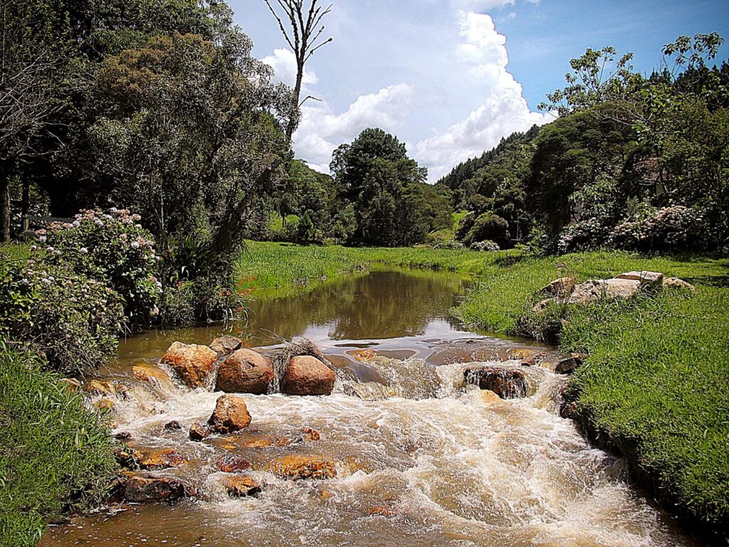 A small river running over rocks between trees near Rancho Queimado